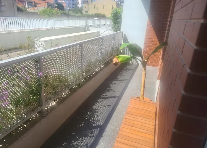 Aveiro Jasmin Al